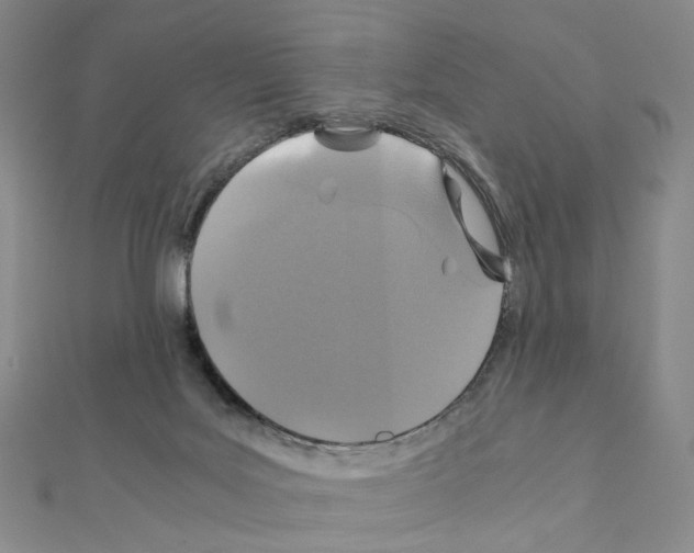 X0000110990027200907311019