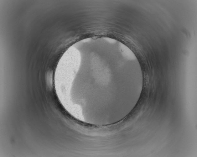X0000110990028200907311019