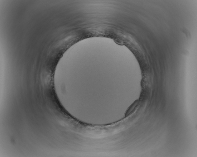 X0000110990029200907311019