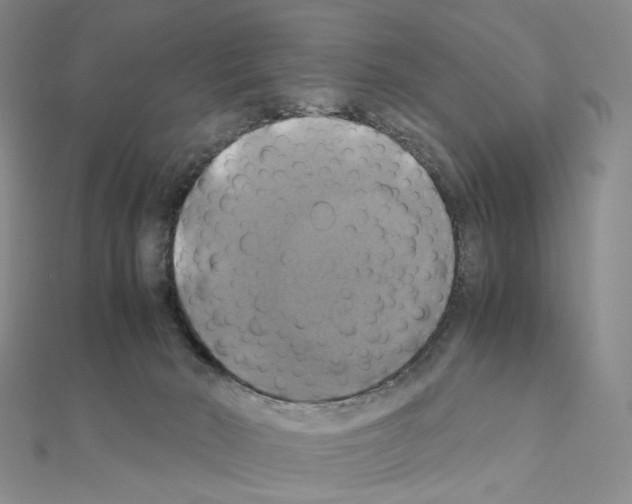 X0000110990030200907311019