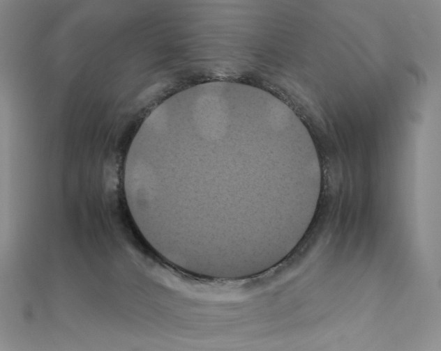 X0000110990032200907311019