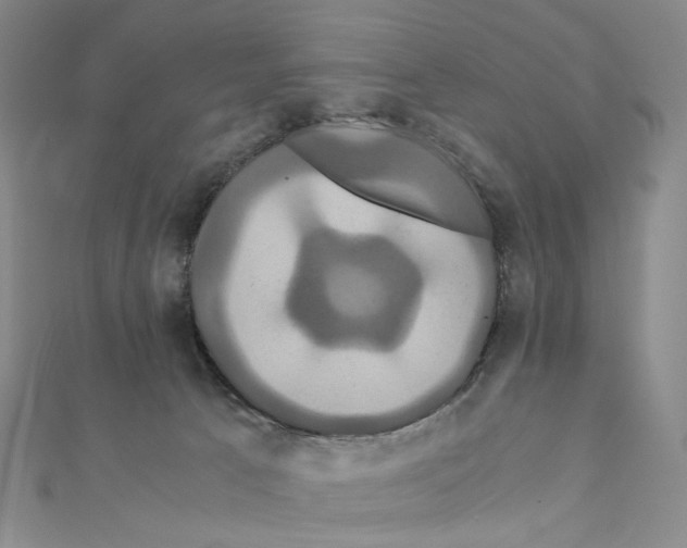 X0000110990033200907311019