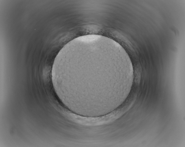 X0000110990034200907311019