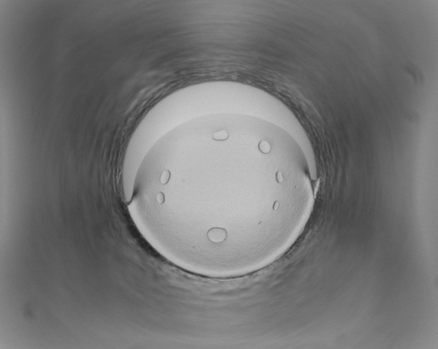 X0000110990035200907311019