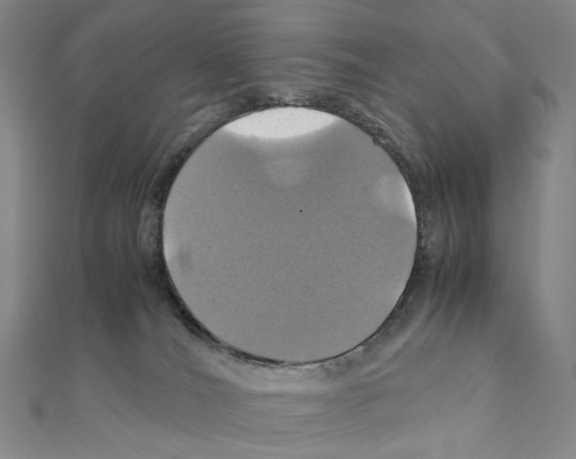 X0000110990036200907311019