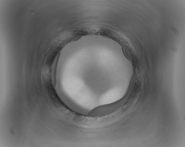 X0000110990037200907311019
