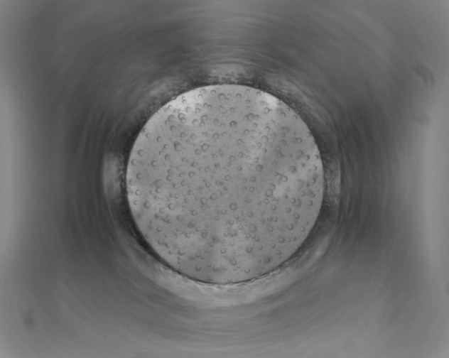 X0000110990038200907311019