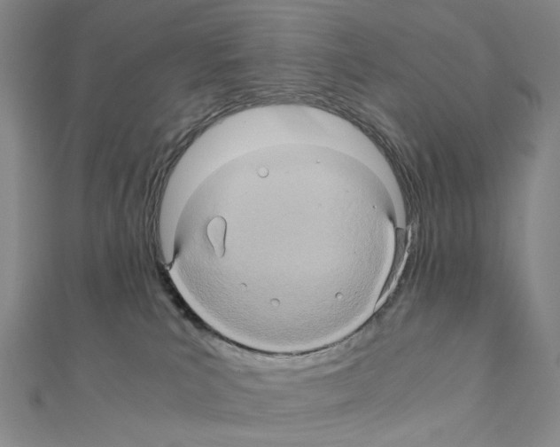 X0000110990039200907311019