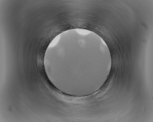 X0000110990040200907311019