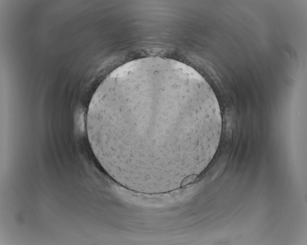 X0000110990042200907311019