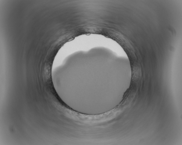X0000110990043200907311019