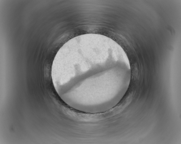 X0000110990044200907311019