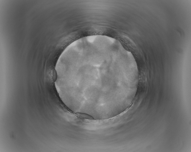 X0000110990045200907311019