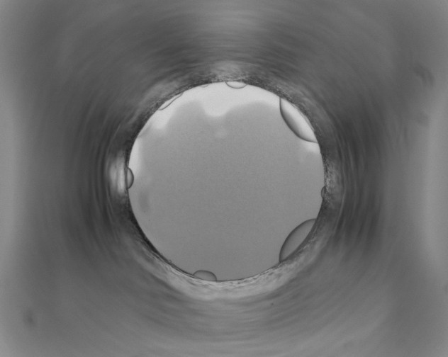 X0000110990046200907311019