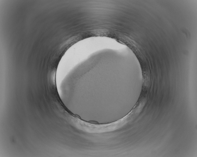 X0000110990047200907311019