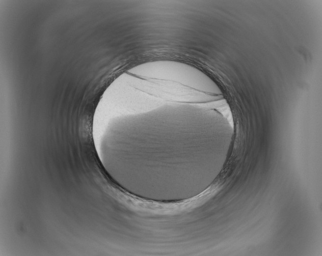 X0000110990048200907311019