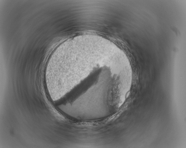 X0000110990049200907311018