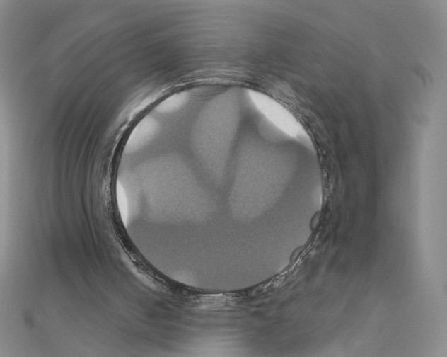 X0000110990050200907311018