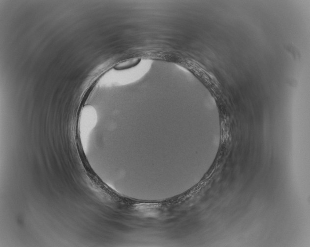 X0000110990051200907311018