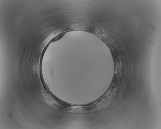 X0000110990052200907311018