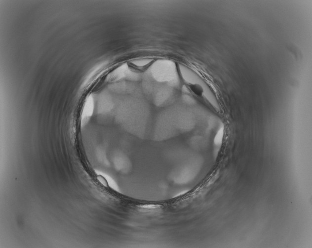 X0000110990053200907311018