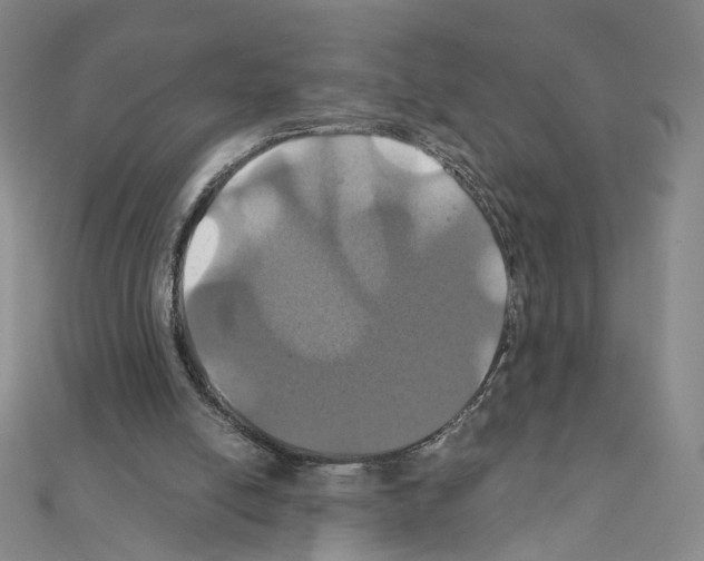 X0000110990054200907311018