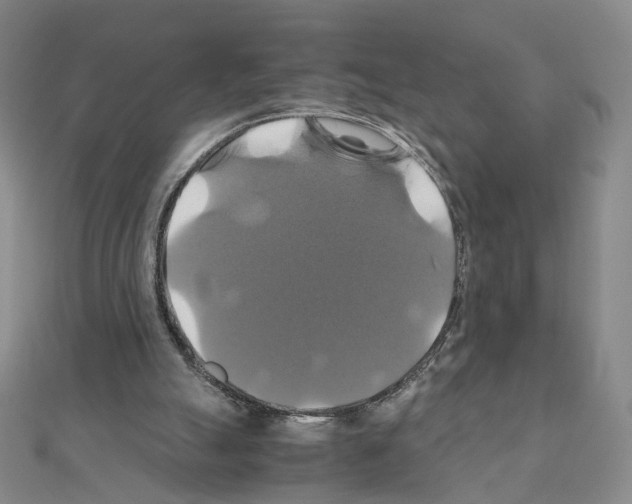 X0000110990055200907311018