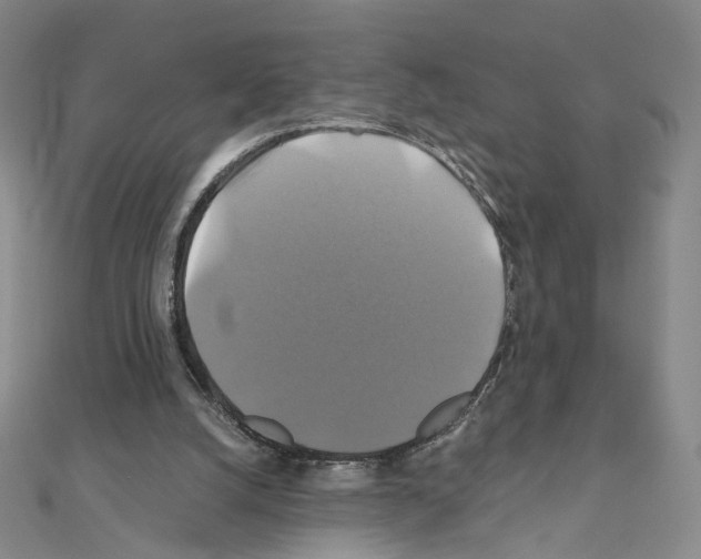 X0000110990056200907311019