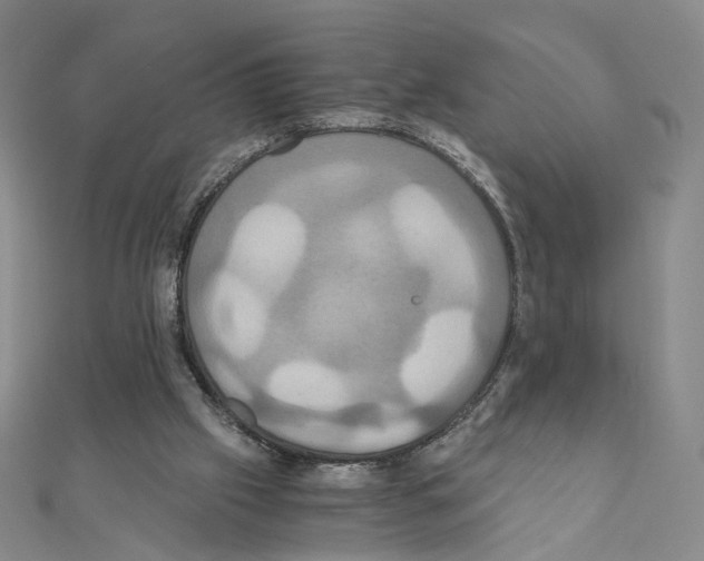 X0000110990057200907311019