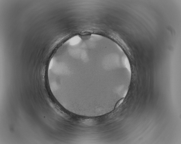 X0000110990058200907311019