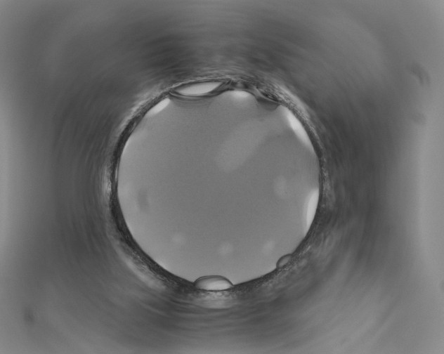 X0000110990059200907311019