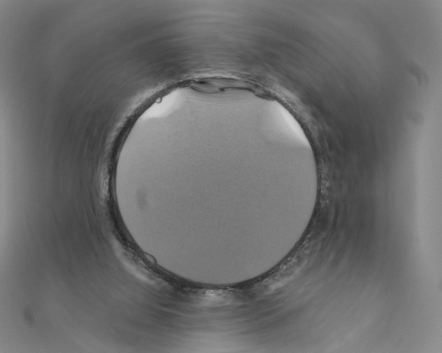 X0000110990060200907311019