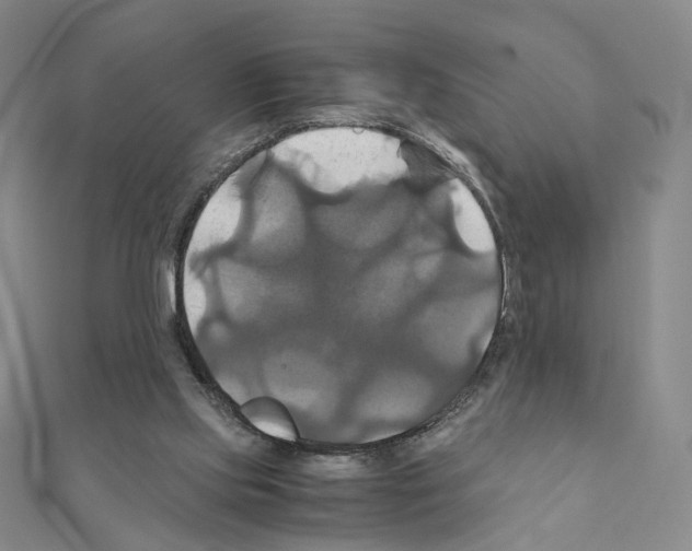 X0000110990061200907311019