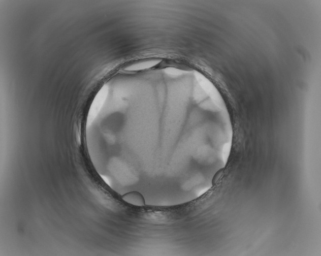 X0000110990062200907311019