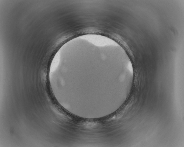 X0000110990063200907311019