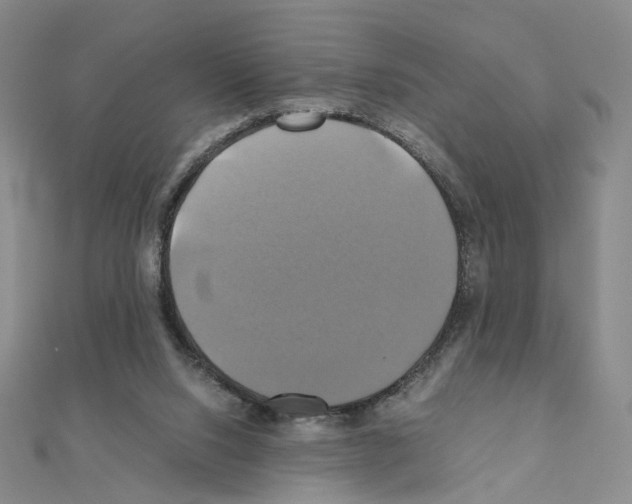 X0000110990064200907311019