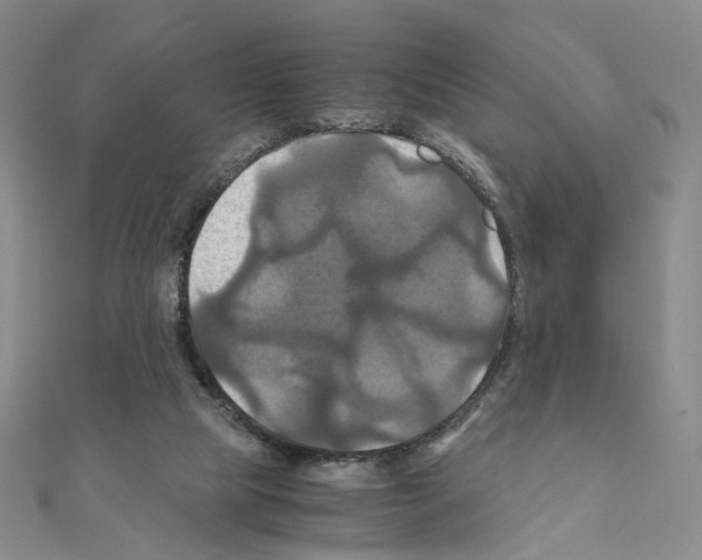 X0000110990065200907311019