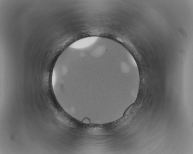 X0000110990066200907311019