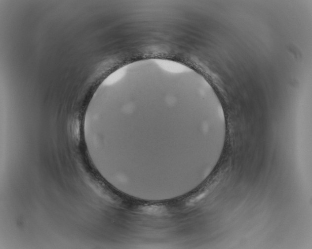 X0000110990067200907311019