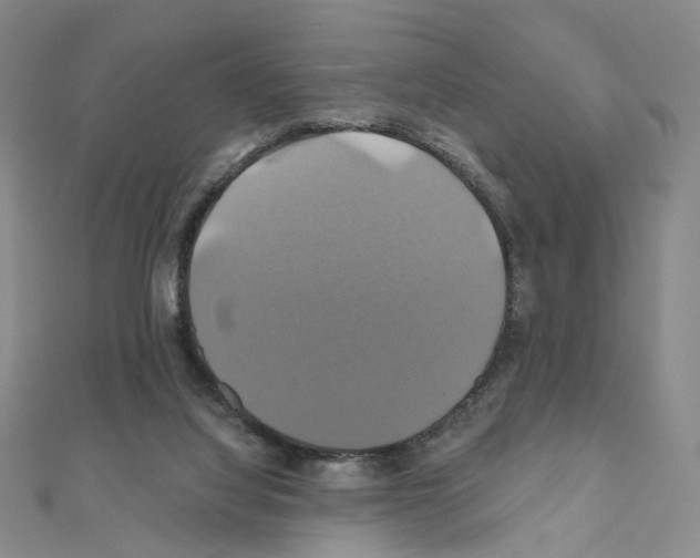 X0000110990068200907311019