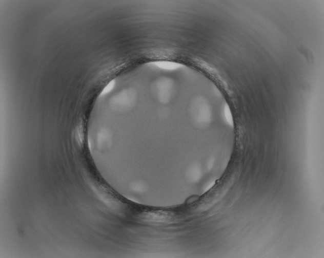 X0000110990069200907311019