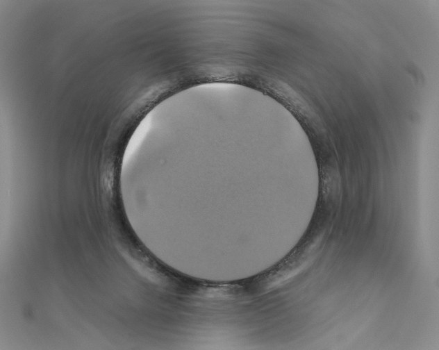 X0000110990072200907311019