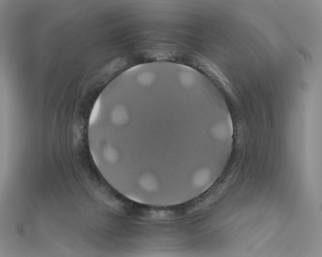 X0000110990073200907311019