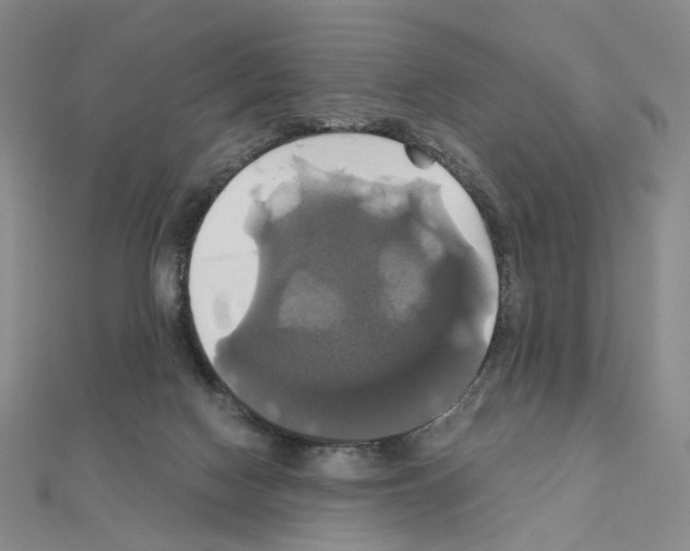 X0000110990074200907311019