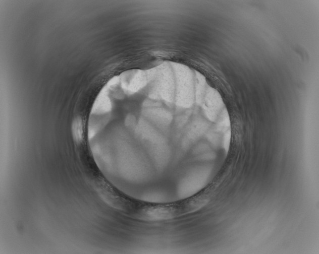 X0000110990075200907311019