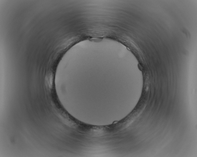 X0000110990076200907311019