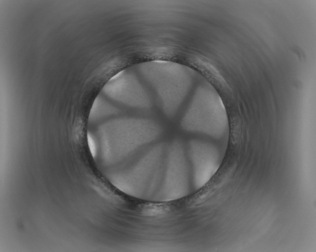 X0000110990077200907311019