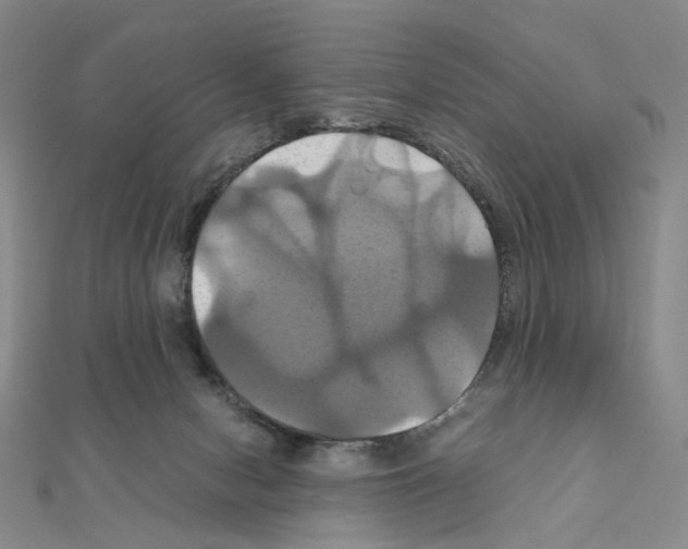 X0000110990078200907311019