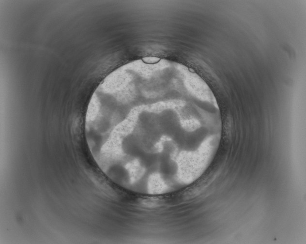 X0000110990079200907311019