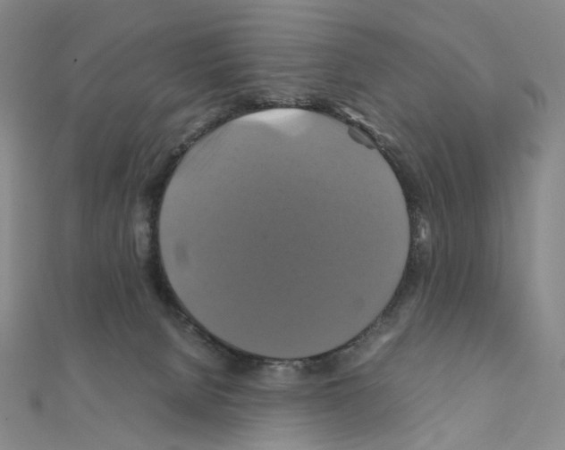 X0000110990080200907311019